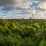 Paisaje exuberante de la selva mexicana con un contraste sutil de elementos industriales, representando el drama ecológico 'Eco'.