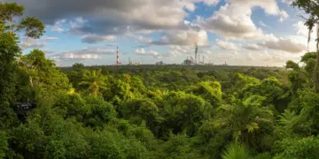 Paisaje exuberante de la selva mexicana con un contraste sutil de elementos industriales, representando el drama ecológico 'Eco'.